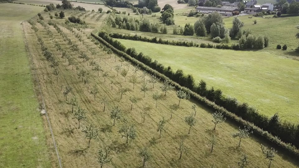 Hainaut développement