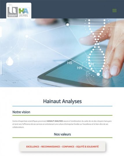 Hainaut Analyses