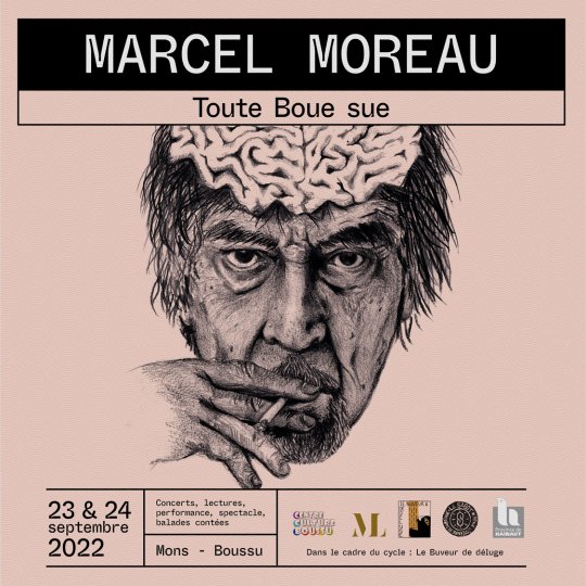 maison losseau