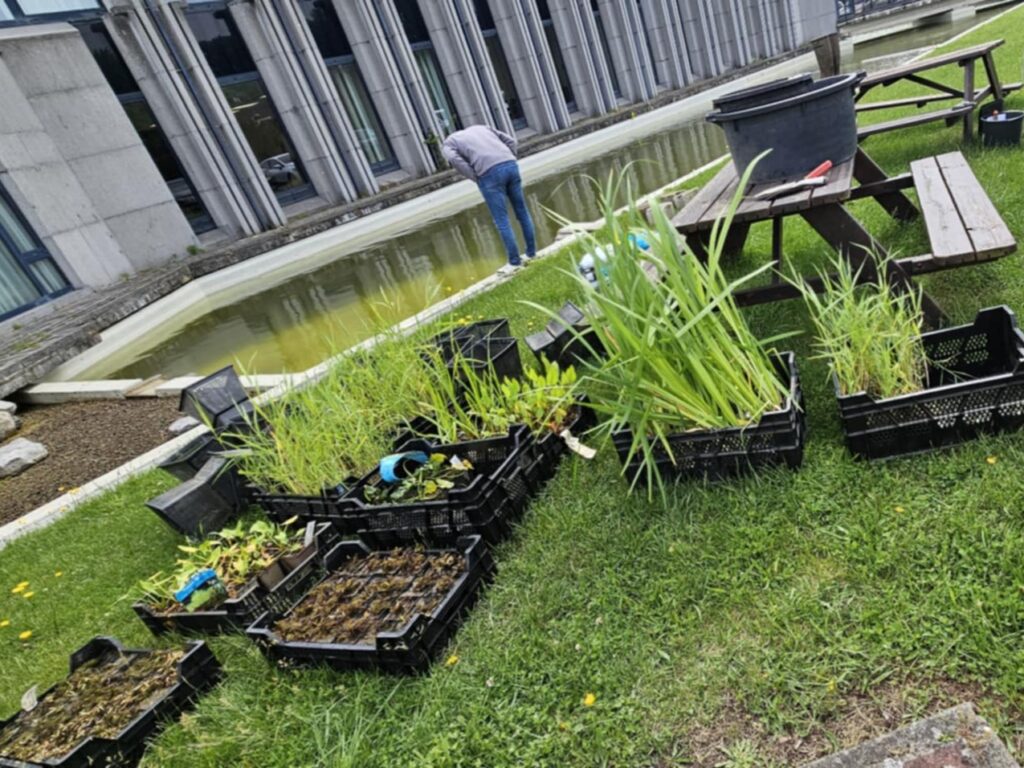 Plantations dans le bassin d'OMEGA